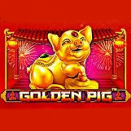 Golden Pig