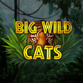 Big Wild Cats