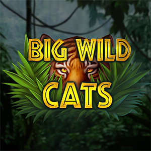 Big Wild Cats