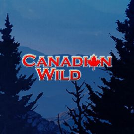 Canadian Wild