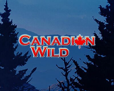 Canadian Wild